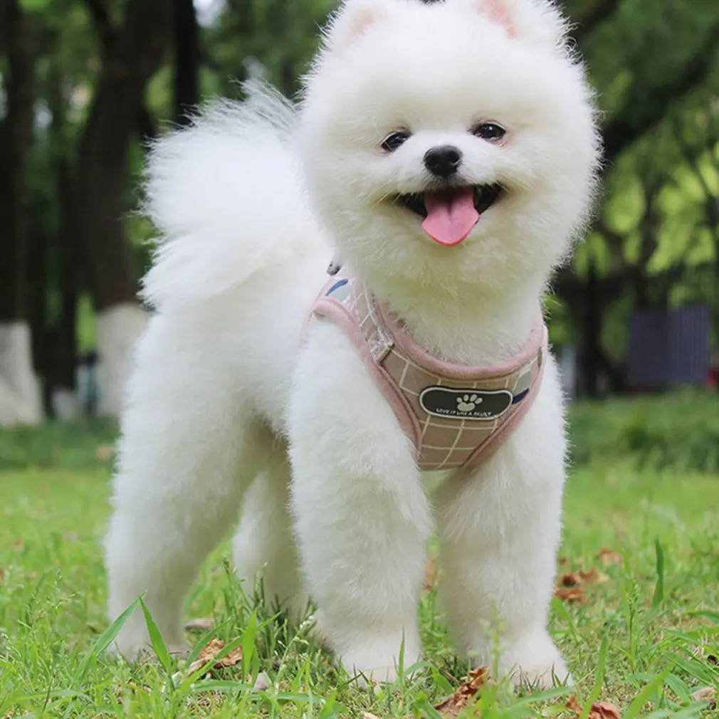 Pet Chest Strap With Reflective Breathable Straps Pet Supplies Vest Cat Dog Leash Chest Strap With Reflective Breathable Strap