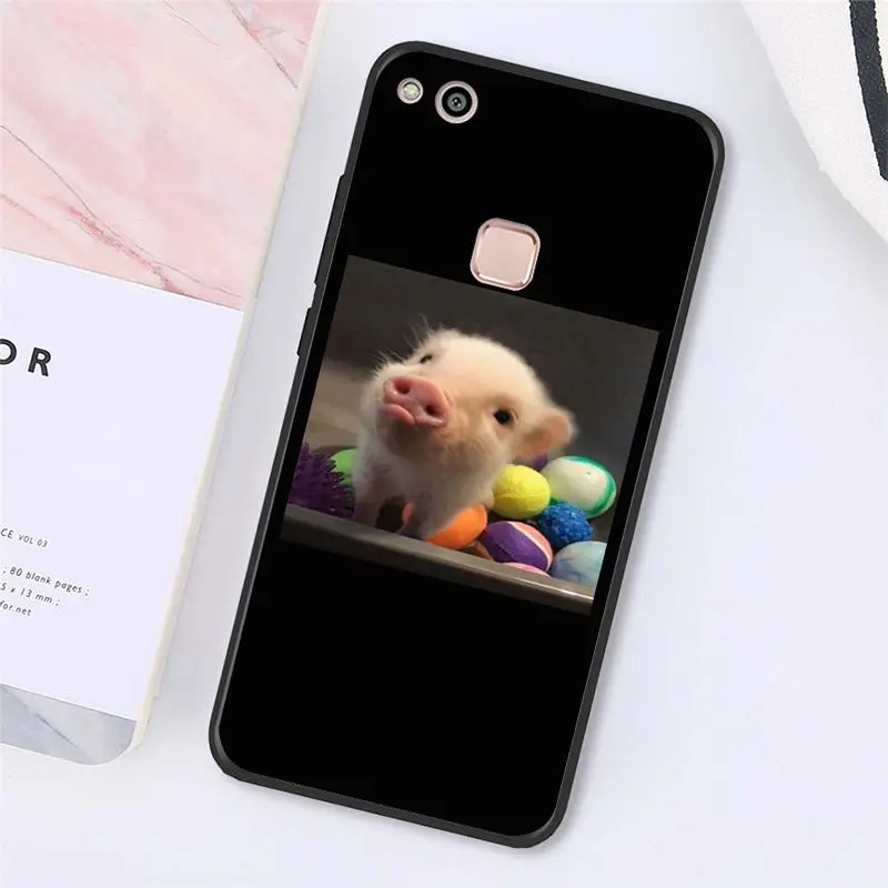 Cute Little Pink Pet Pig