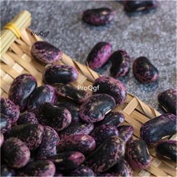 

Ngryise 500Pcs A Set purple kidney bean