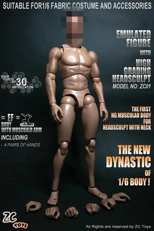 

ZC TOYS 1/6 Male Figure Body Model Toy Standard Muscular Figure 12'' F Collection