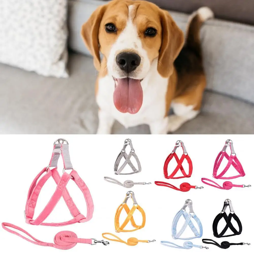 Harnesses Dog Small Dogs Kit Harness Dogs Chest Harness Rope Pets