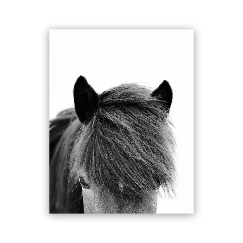 Black-and-White-Icelandic-Horse-Posters-and-Prints-Farmhouse-Rustic-Decor-Scandinavian-Wall-Art-Canvas-Painting (3)