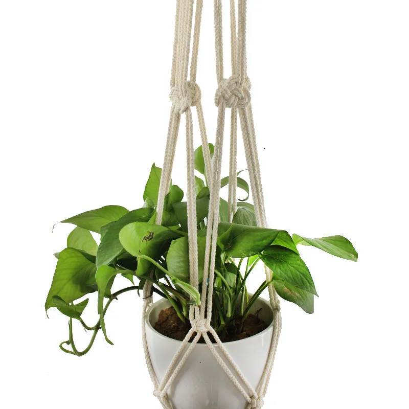 9545146562_248873688 (1)