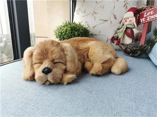 O1CN018dcmSj1a2A6MuZV0O_!!915713271