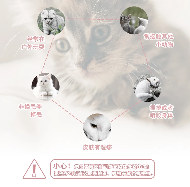 В Vitro материковой части Китая Pet затопления кошачьих капель убить кота удалить блох клещей в котят стерилизации в дополнение