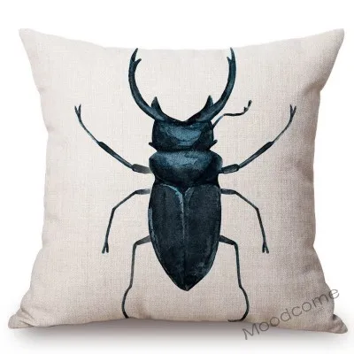 conew_n311 (4) 副本