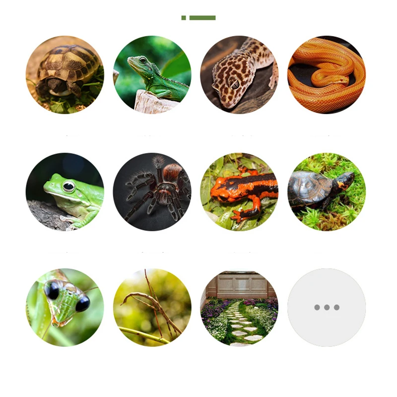 Thicken Double Layer Reptile Pets Moss Carpet Cushion Material Frog Tortoise Snake Lizard Mats Moisturizing Fake Lawn reptile bedding material,reptile carpet