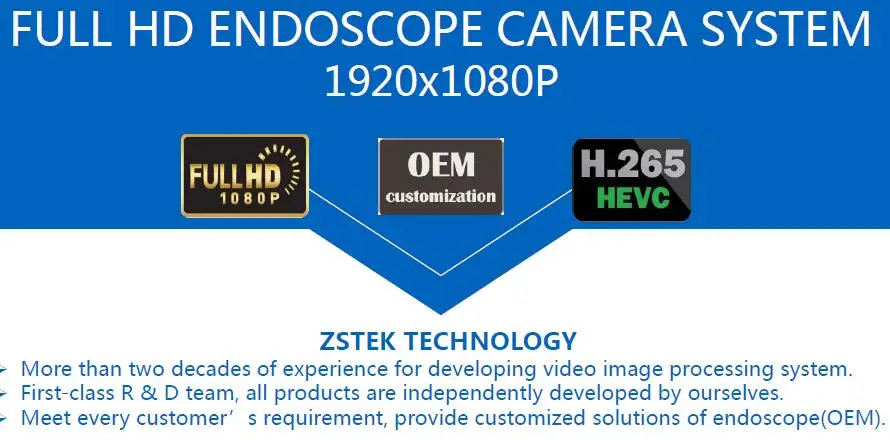 endoscope 2
