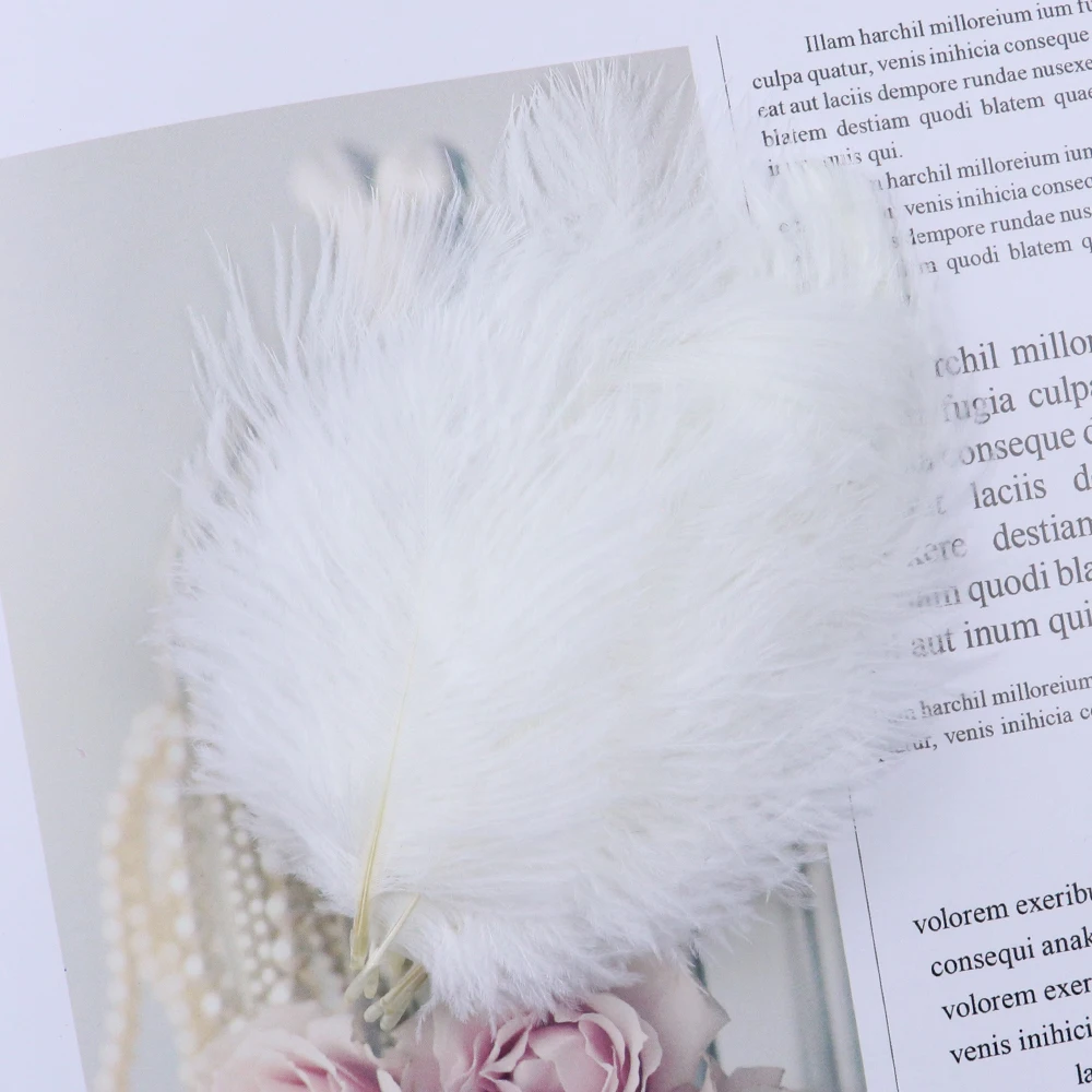 TS0105012 5-10cm ostrich feathers 2