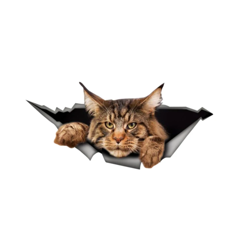 

13cm X 6cm Personality Car Stickers PVC Decal Maine Coon 3D Pet Animal Motorcycle Car Window Accessories