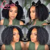 Lace Wigs