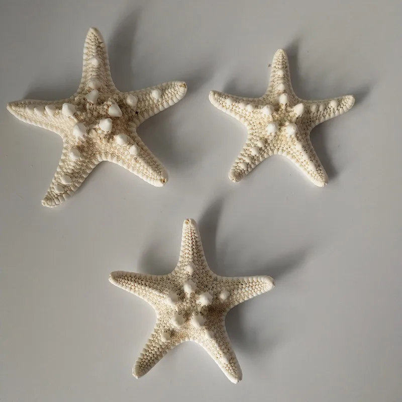 

Mediterranean Style DIY Shell Decoration Beach sea star Natural Shells Craft Aquarium Decoration white starfish conch