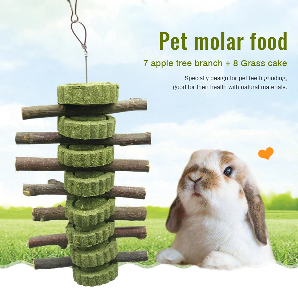 Juguetes de molienda de dientes para mascotas, hámster, conejo, hierbas, pastel, juguete para masticar, galleta colgante Natural para hámster, conejo, Chinchilla, suministros para mascotas