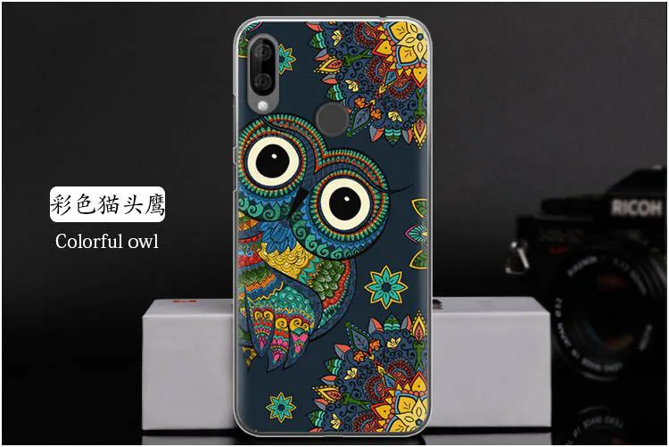 彩色猫头鹰 Colorful owl
