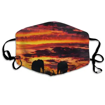 

Face Mask Elephant Sunset Inspiring Cycling Half Face Earloop Face Mask for Men