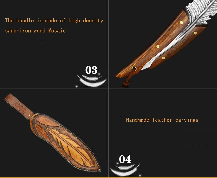 QQ图片20200718022358