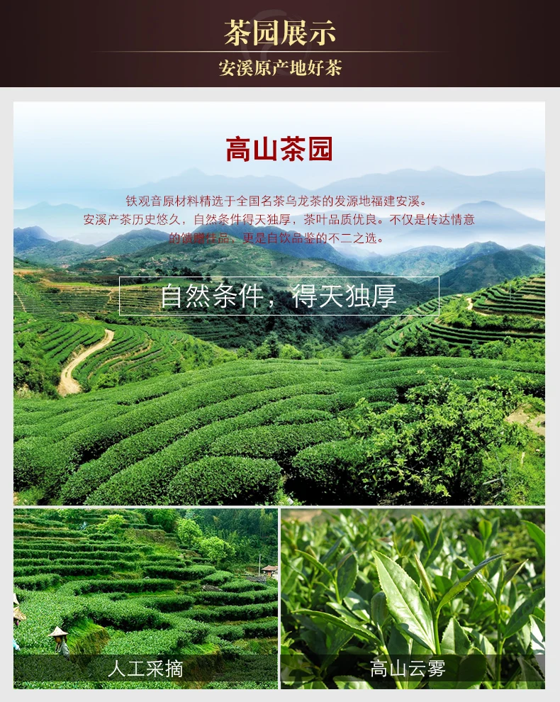 Anxi Tanbao Tieguanyin чай улун органический чай зеленый еда теплый желудок чай пакет 250g500g1000g