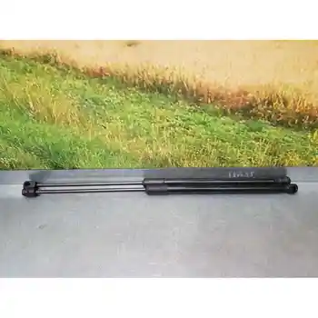 

2G6827550B BOOT SHOCK ABSORBERS/PORTON VOLKSWAGEN POLE