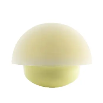 

Silica Induced Atmosphere Camping Lamp Outdoor New LED Colorful Mushrooms