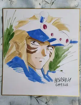 

hand drawn Hirai Hisashi Garukiba Shikishi Art Board signed 272*242 20A