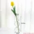 Vase en verre de décoration intérieure, Vase en cristal, plantes hydroponiques modernes, frais européens pour mariages, événements, fêtes créatives 24