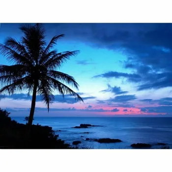 

Full Drill Seaside Coconut Tree DIY Sloth 5D Diamond Painting Cross Stitch Embroidery Kit Craft Home Decor Home Entertainment