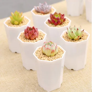 

10 Pcs Simple Versatile Octagonal Pot Succulent Plant Pot Imitation Ceramic Small Flower Pot for Living Room Balcony (White)