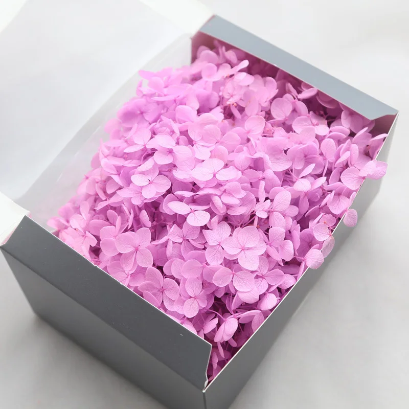 Pink Purple 1 коробка, высокое качество, натуральные консервированные цветы, сушеные листочки Анны, Гортензия, Цветочная головка для DIY, настоящая вечная жизнь, цветы, материал - Цвет: Pink Purple