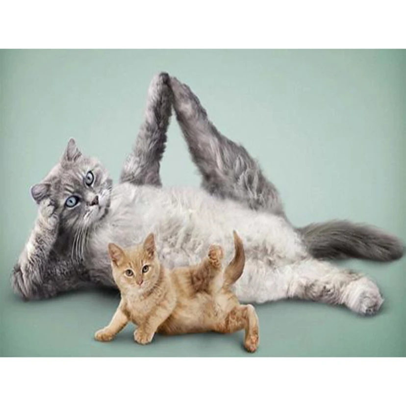 u=2664972560,2365686952&fm=26&gp=0 - 副本