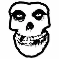 Hot Sell Misfits SKULL Danzig Classic Rock Band Vinyl...