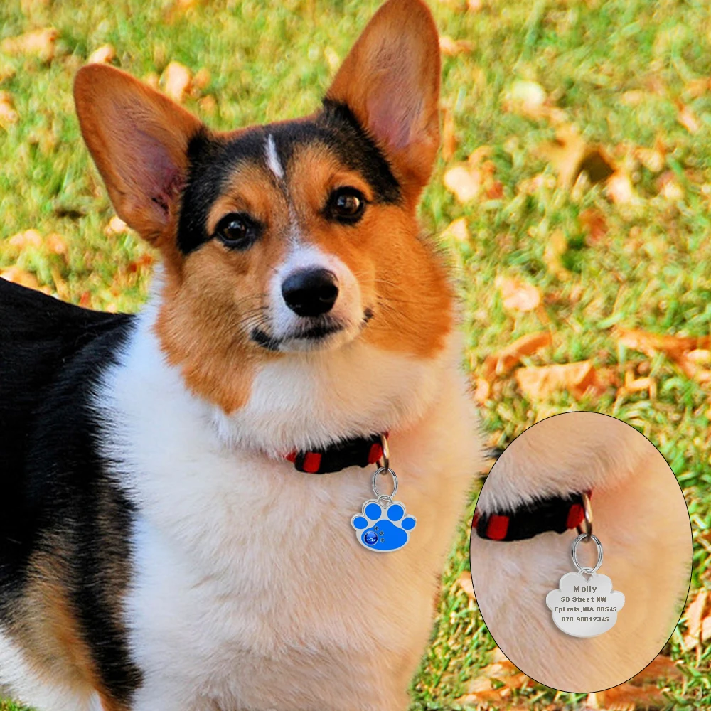 Custom Anti-lost Collar Puppy Accessories Name Pendant Tags Cat Steel ID Dog Dog Tag Engraved Pet Tag Paw Stainless Personalized