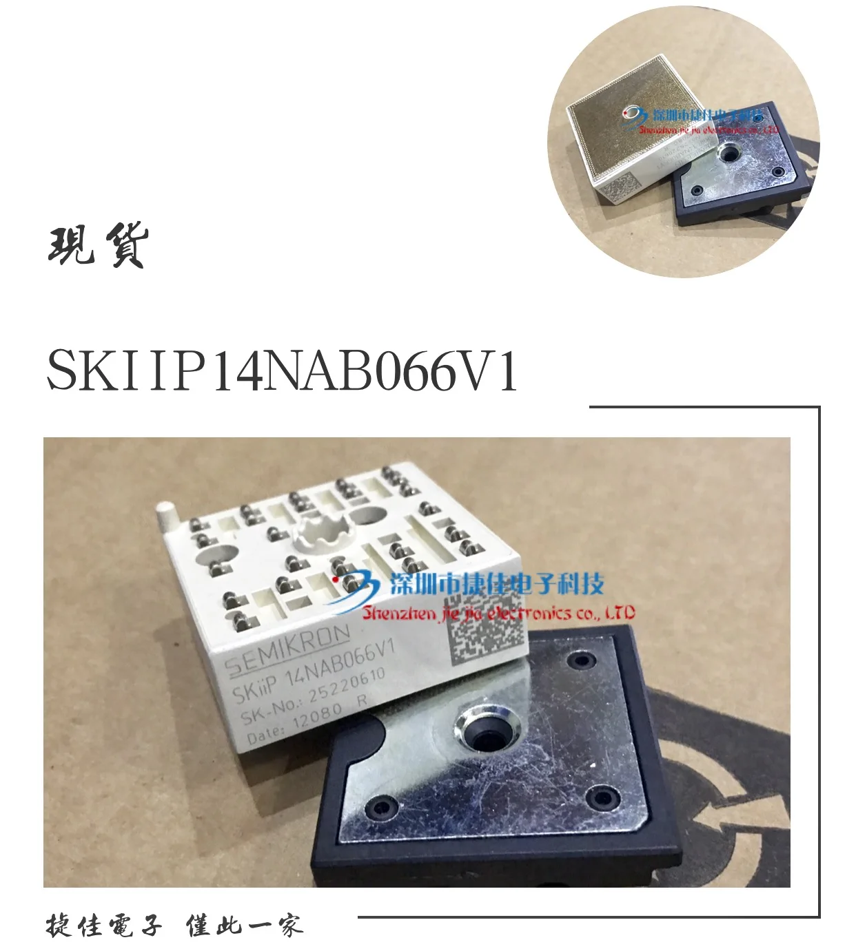 SKiiP13NAB066V1 SKIIP11NAB126V1/12NAB216V1 SKIIP14NAB066V1