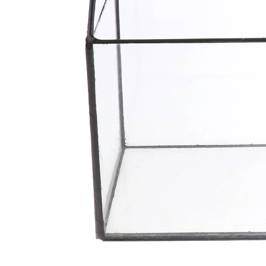 House Shape Clear Glass Geometric Terrarium Box Tabletop Succulent Plant Planter Fern Moss