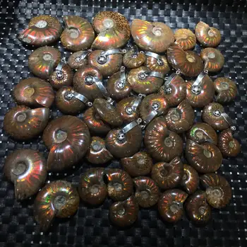 

Spot Color Screw Direct Seeding Expert Time Madagascar Mineral Strange Stone Feng Shui Transport Conch Fossil Jade Snails