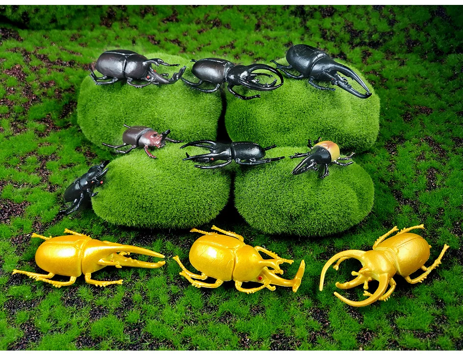 详情页-4款-昆虫甲虫等_01