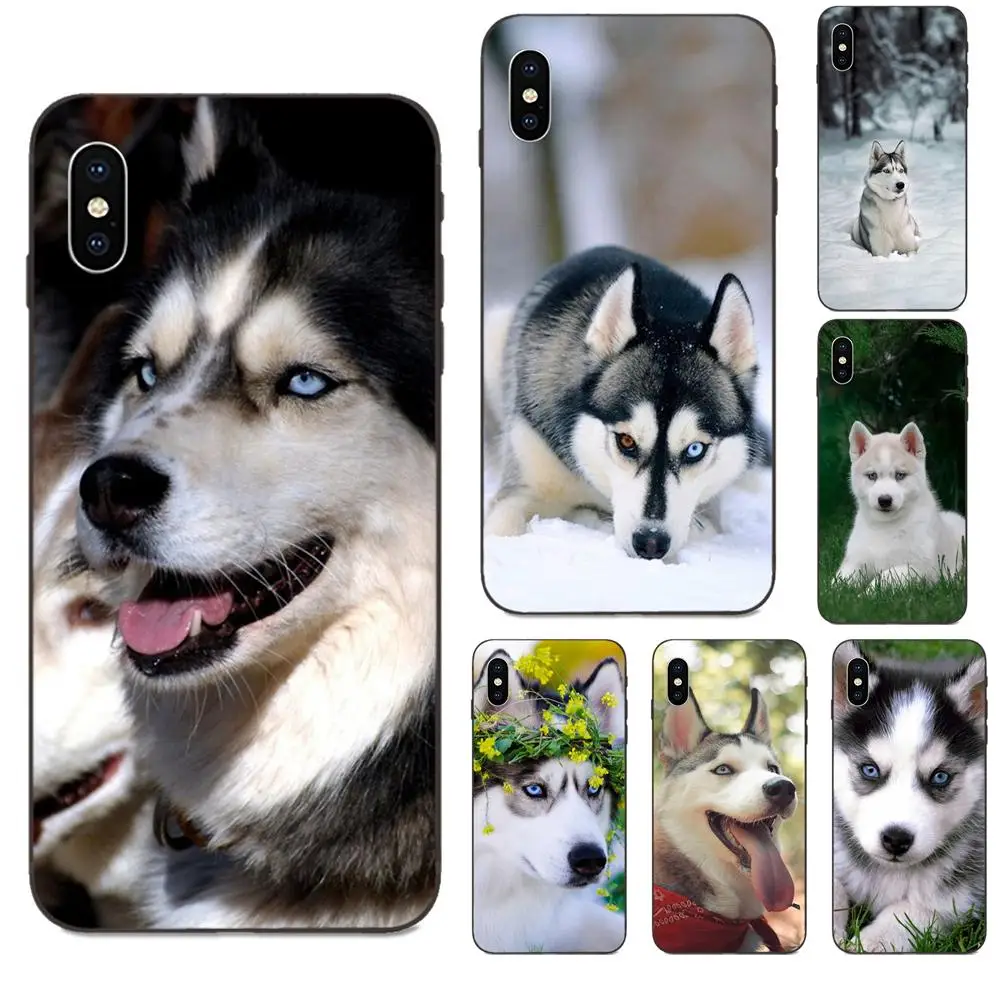 For Huawei nova 2 2S 3i 4 4e 5i Y3 Y5 II Y6 Y7 Y9 Lite Plus Prime Pro 2017 2018 2019 Lovely Alaskan Malamute Siberian Husky Dog | Мобильные