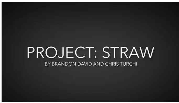 Project Straw от Брэндона Дэвида и Криса турчи-волшебные фокусы | Игрушки хобби