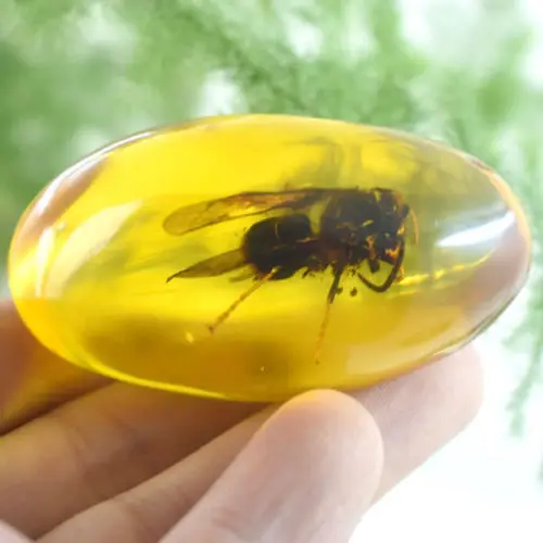 Chinese Beautiful Amber Animal Bee Fossil Insects Manual Polishing Exquisite Animal Specimens