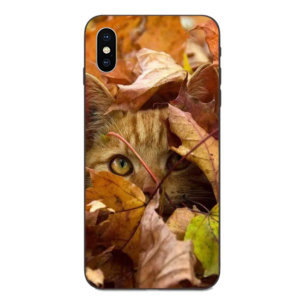Cat To Be Kitten Me Right Meow Text Cat мягкий TPU узор для Xiaomi Redmi Note 3 3S 4 4A 4X5 5A 6 6A 7 7A K20 Plus Pro S2 Y2 Y3 - Цвет: as picture