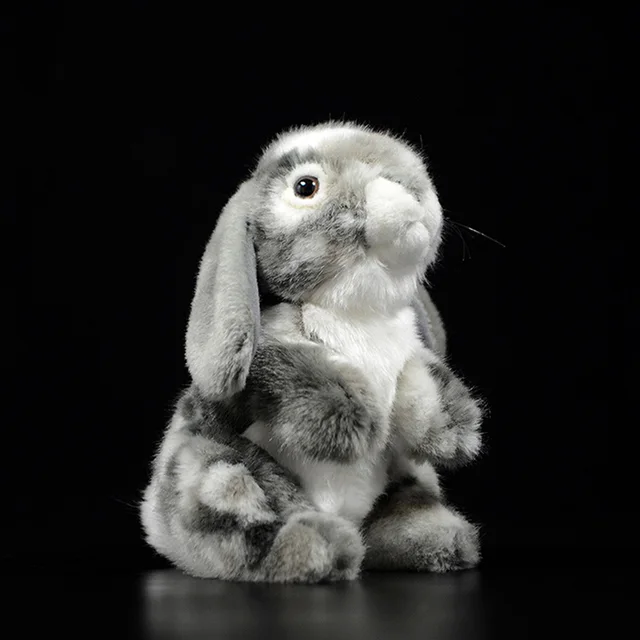 holland lop toys