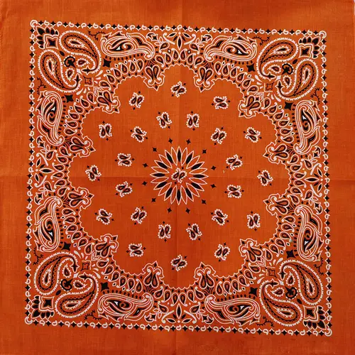 New Fashion Hip Hop 100% Cotton Bandana Square Scarf 55cm*55cm Black Red Paisley Headband Printed For Women/Men/Boys/Girls - Image 21