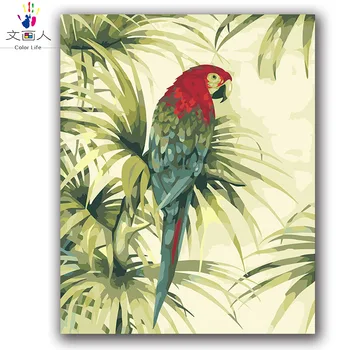 

Paints with Red Wedding Head Macaw Picture Painting Coloring by Numbers with Kits for Adults Canvas One Piece Animal Europe