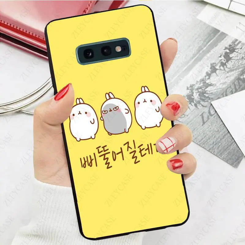 Kawaii Box Potatoes rabbits Molang