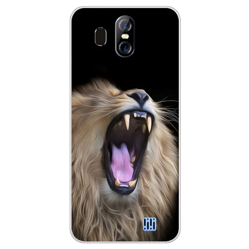 A039 Мягкий ТПУ чехол для HOMTOM S16 Чехлы для HOMTOM S16 S 16 5,5 дюймов силиконовые DIY Окрашенные Защитные чехлы для телефонов - Цвет: A039