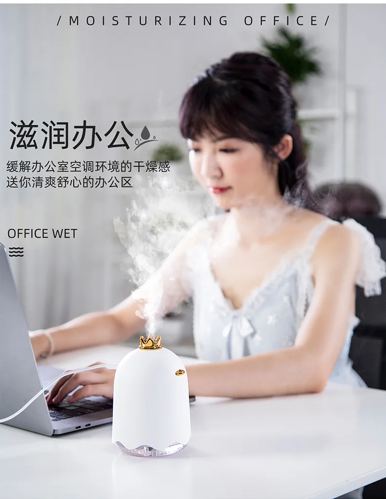 New Style Creative Mini USB Humidifier Household Car Mounted Crown Duck Small Air Cleaner Gift Customization