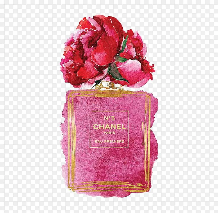 香奈儿香水png图片素材免费下载 图片编号ylwjdpxq Pngbag素材网