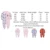 100% хлопок 3шт Roupas bebe de Baby Girl Boy Pijamas bebe fille Хлопок Дышащий Мягкий ropa bebe Новорожденные Шпалы Детские Пижамы
