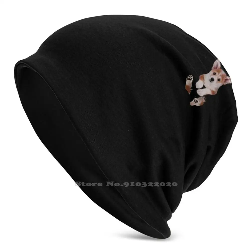 Pocket Corgi Unisex Skullies & Berretti Antivento Hedging Cap Akita American Anatomy Animal Baby Bandana Bark Beagle Beanie