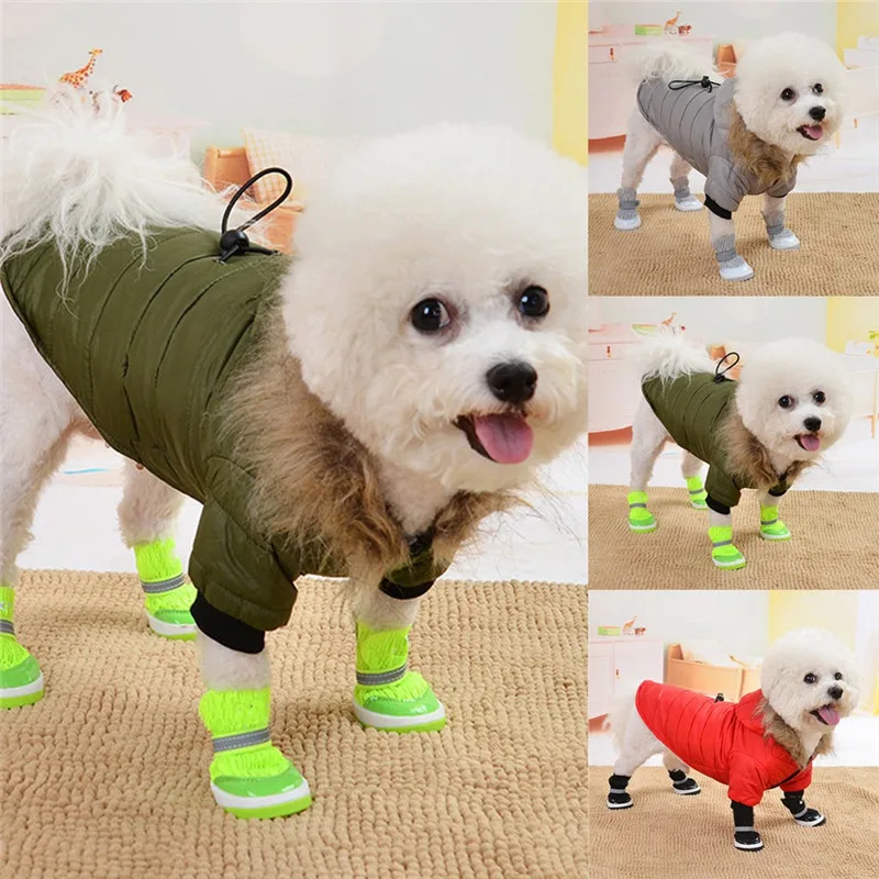 CGJ91031612_1024307412915596112