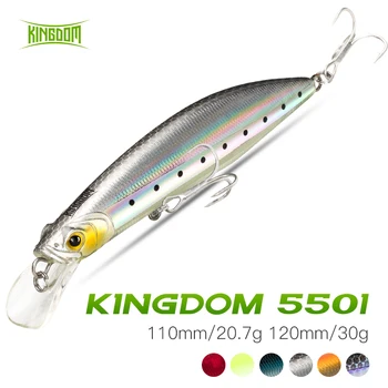 

Kingdom Floating Minnow Fishing Lure 100mm/20.7g 120mm/30g Hard Crank Swimming Jerkbait Fishing Wobbler For Pike Bass Fishing